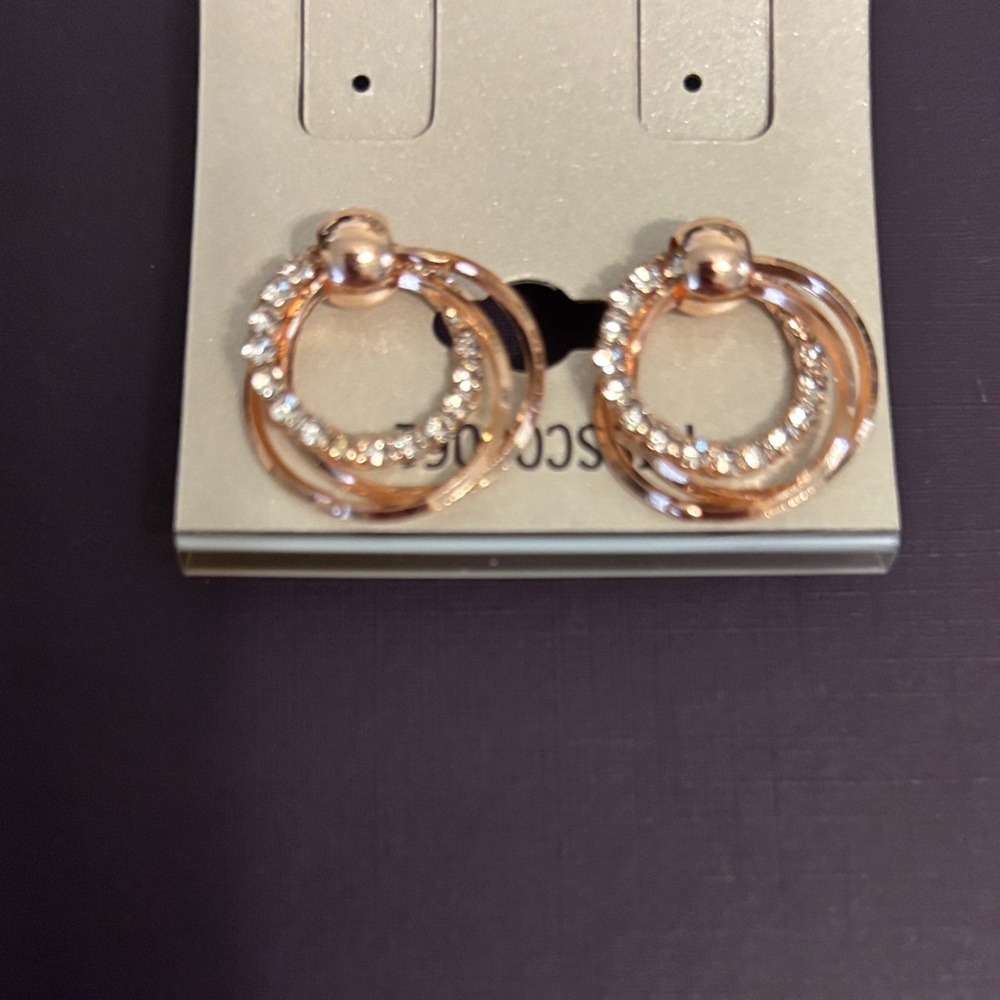 Elegant Rose Gold Circle Earrings